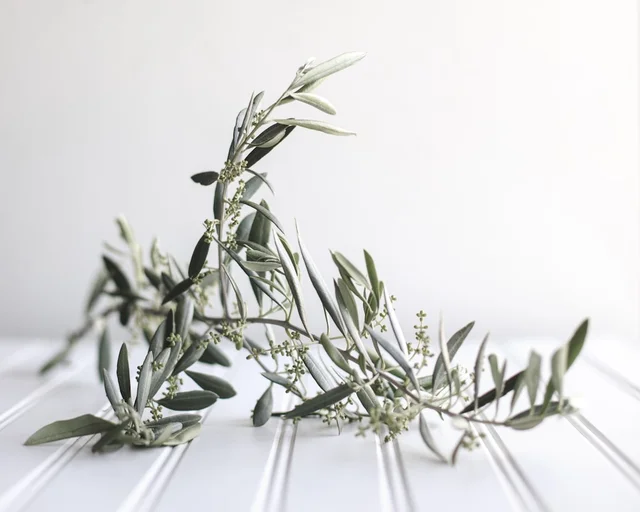 Recomendaciones de Olive Young: Los 5 mejores productos de belleza de 2024